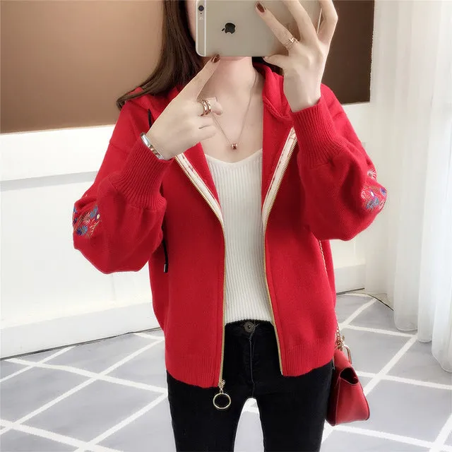 embroidered knitted jacket, Korean