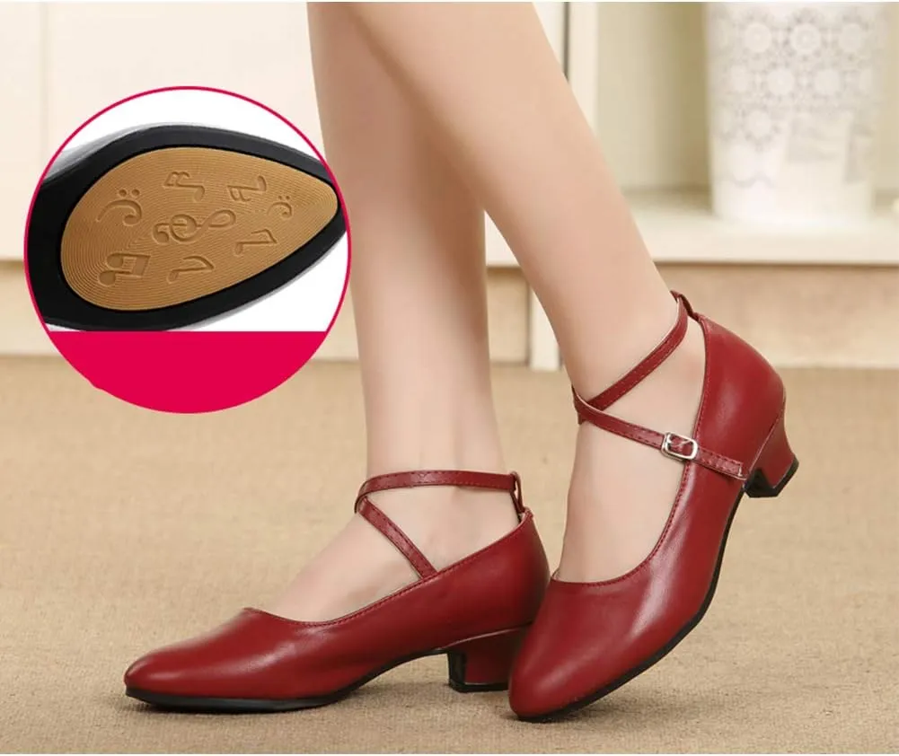 HROYL Women Latin Dance Shoes Ballroom Dance Shoes Performance Practice Salsa Bachata Dancing Shoes,Model DYZPHRD