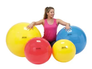 Physio Balls