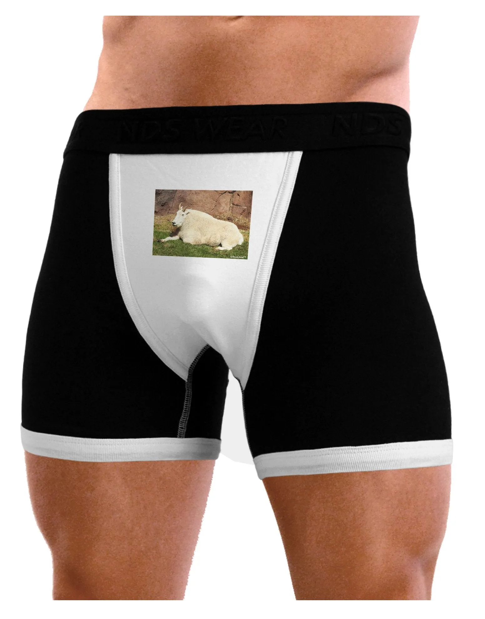 Relaxing Ram Mens Boxer Brief Underwear