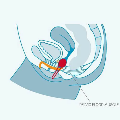 Smartballs Uno - Kegel Balls